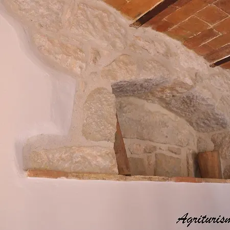 팜스테이 Tholos *