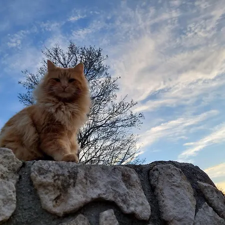 Çiftlik konaklama Tholos