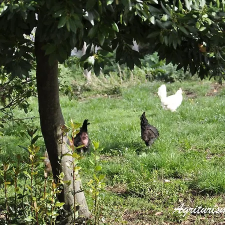 Agriturismo Tholos Фермерский дом