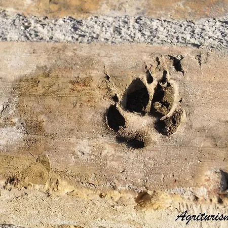 Tholos * Roccamorice