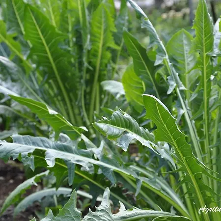 Tholos Gospodarstwo agroturystyczne Roccamorice