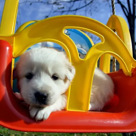 Tholos * Roccamorice