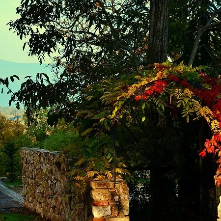 Gospodarstwo agroturystyczne Tholos