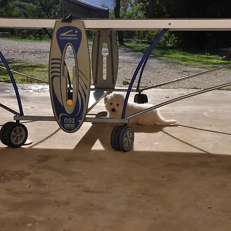 Gospodarstwo agroturystyczne Tholos