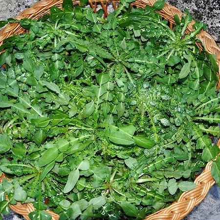 Gospodarstwo agroturystyczne Tholos Roccamorice