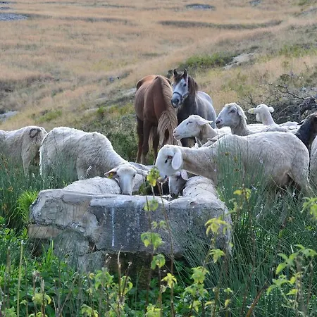 Agriturismo Tholos Roccamorice