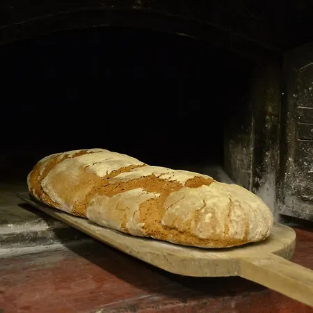 Tholos 팜스테이 Roccamorice