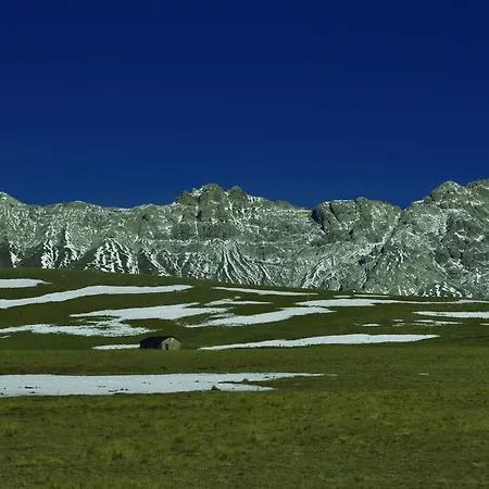 팜스테이 Tholos *