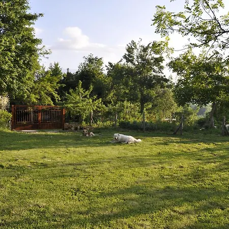 팜스테이 Tholos *