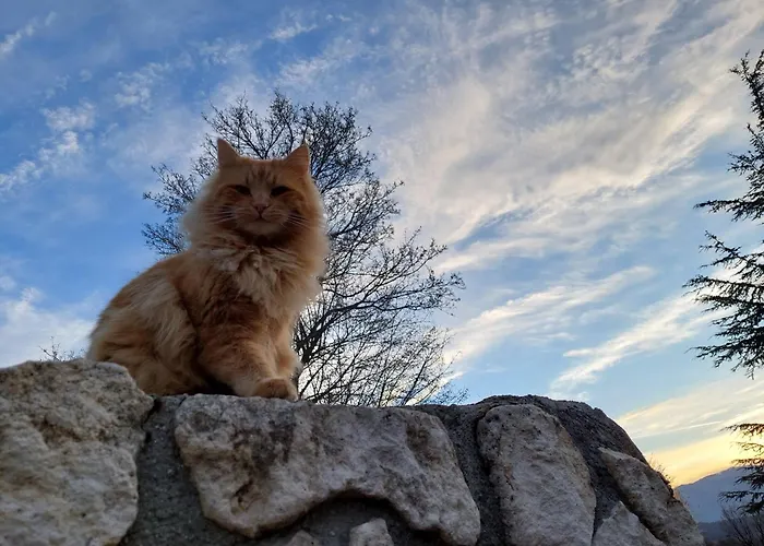 Фермерский дом Agriturismo Tholos