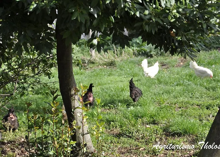 Agriturismo Tholos Фермерский дом