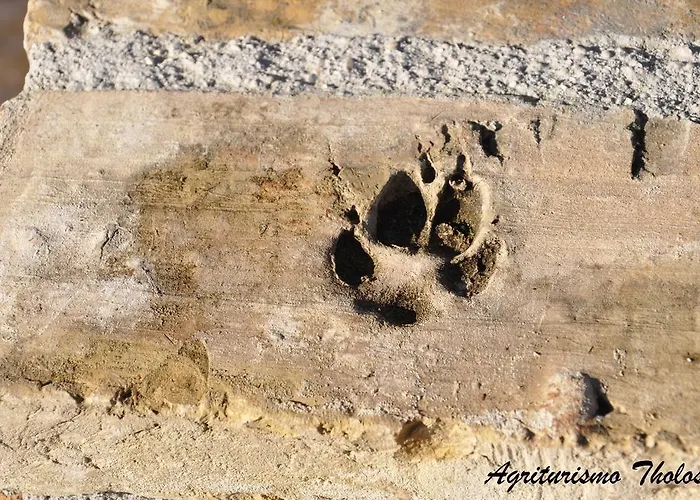 Tholos * Roccamorice