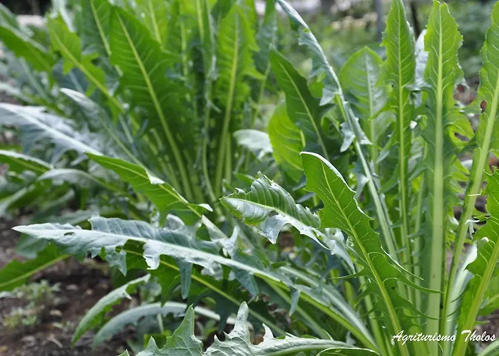 Agriturismo Tholos Фермерский дом Roccamorice