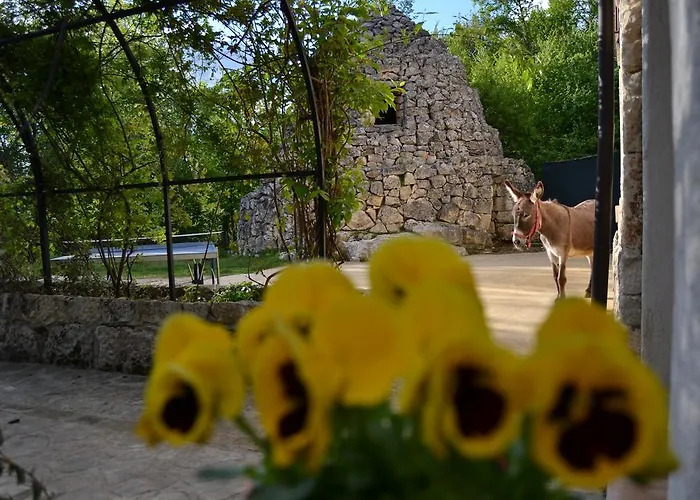 Фермерский дом Agriturismo Tholos Roccamorice