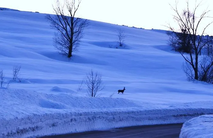 Agriturismo Tholos Фермерский дом Roccamorice