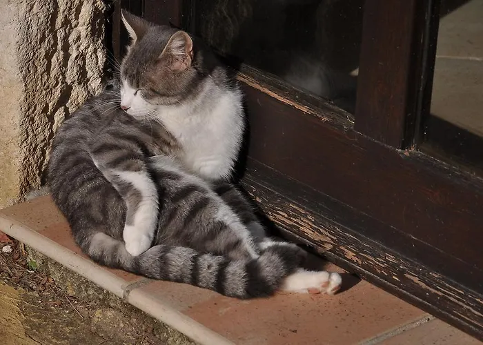 Agriturismo Tholos *