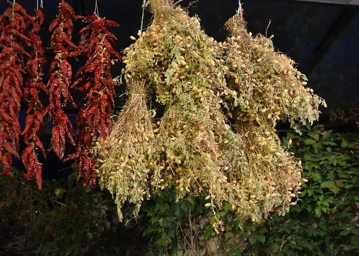 Agriturismo Tholos Фермерский дом