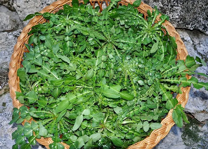 Çiftlik konaklama Tholos Roccamorice